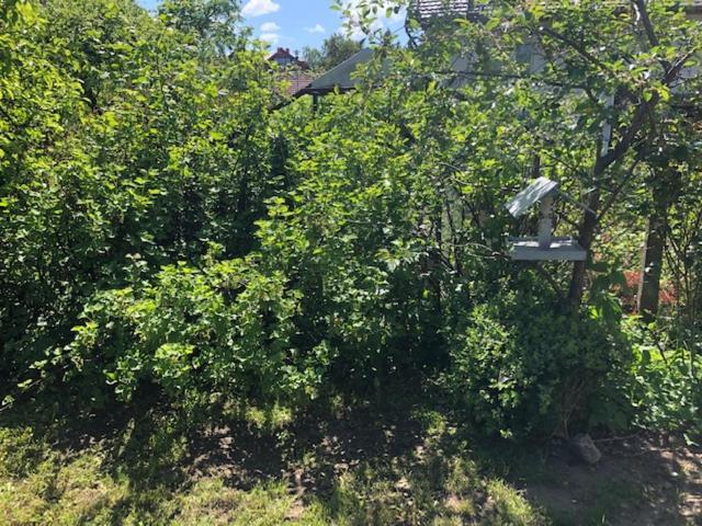 Apartamenty Parkowa Koszalin Bagian luar foto